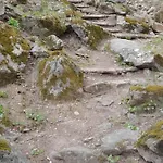 Salzkabe *