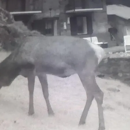 Semesterbostad Salzkabe Macugnaga