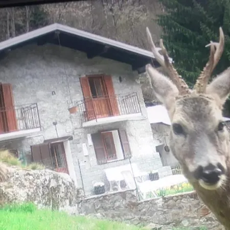 Salzkabe * Macugnaga