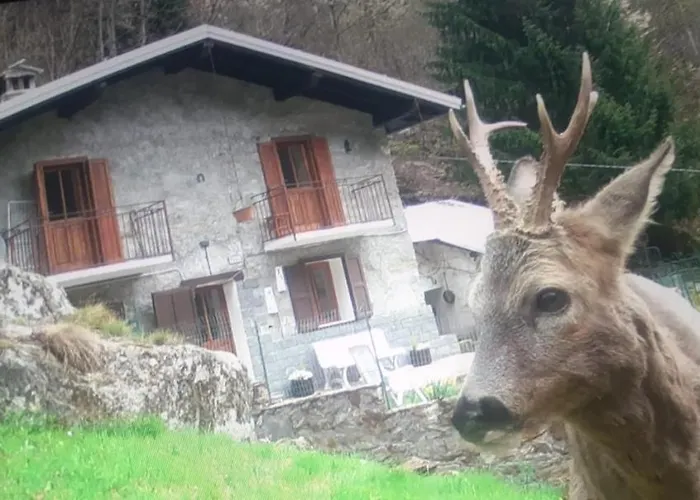 Salzkabe Сasa de vacaciones Macugnaga